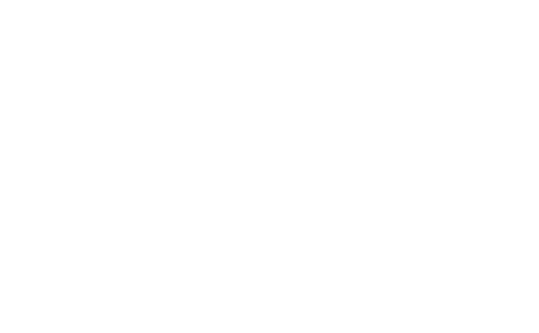 viking_bianco